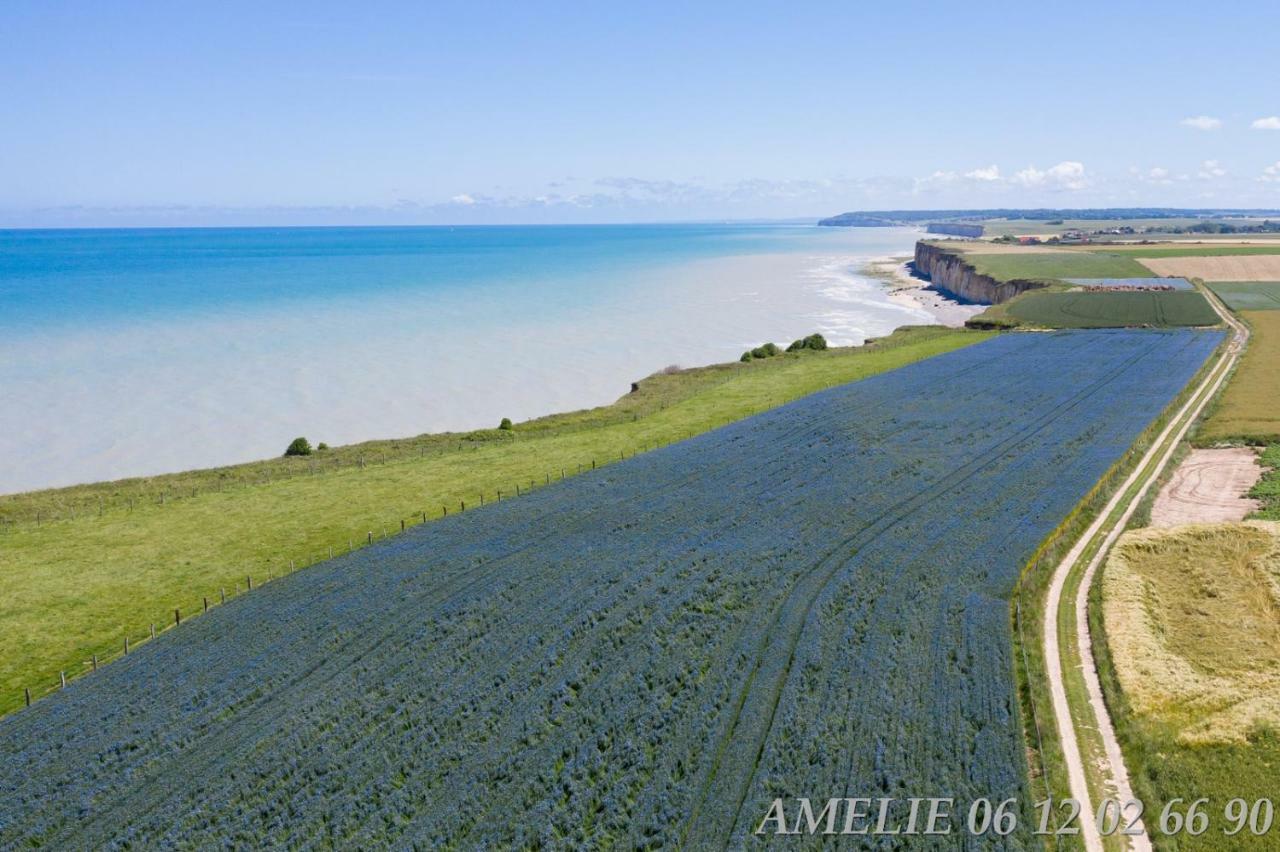 Auzouville-sur-SaâneLe Lit De La Saane住宿加早餐旅馆 外观 照片
